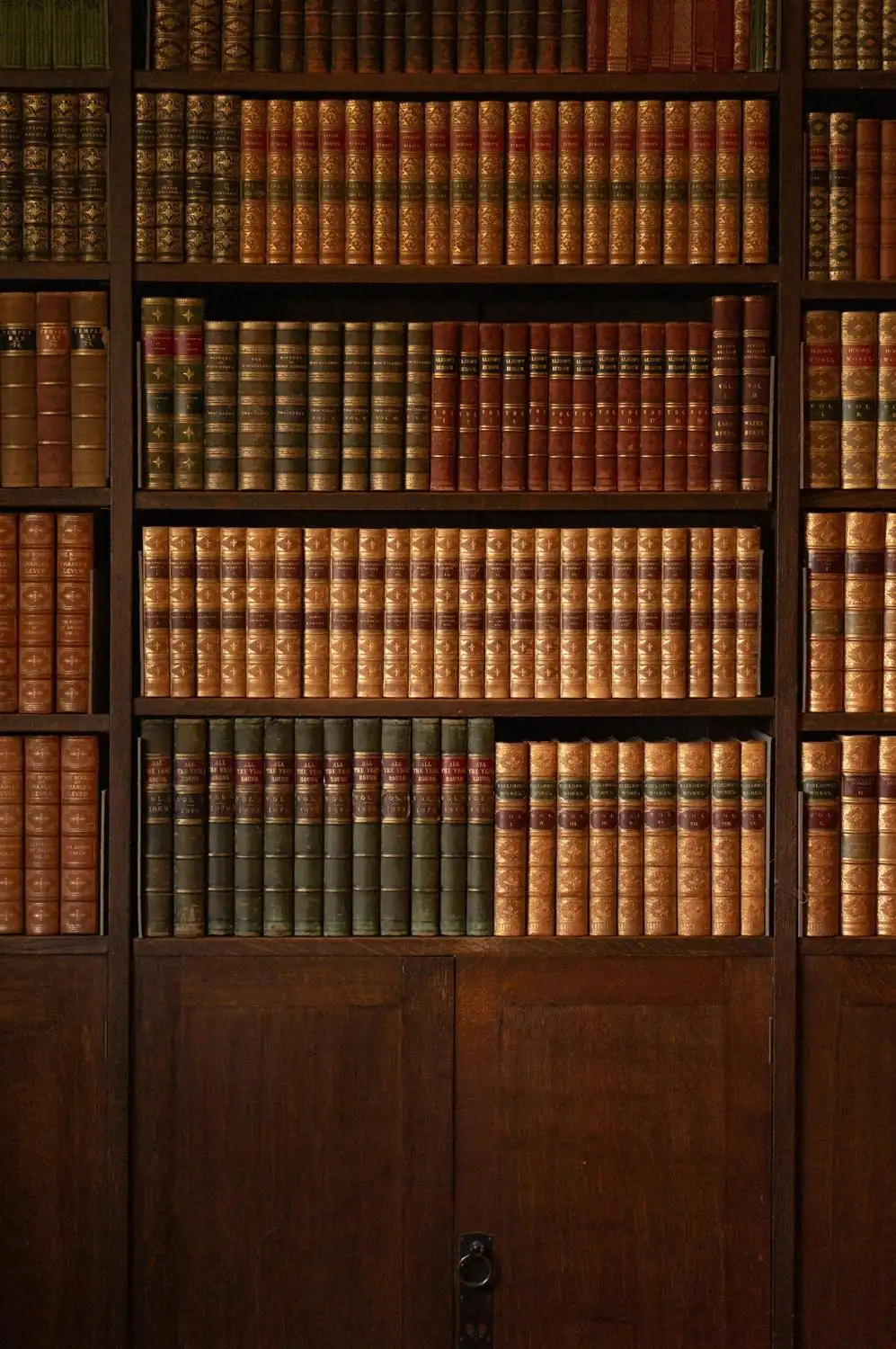 Reference library shelves
